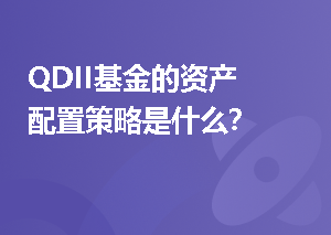 QDII基金的资产配置策略是什么？