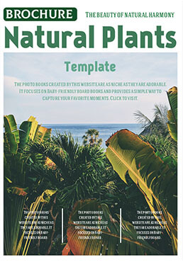 Natural-Plants-Brochure