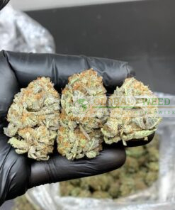 buy ak 47 marijuana weed ONLINE