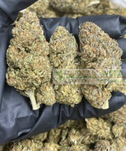 buy afghan haze weed online