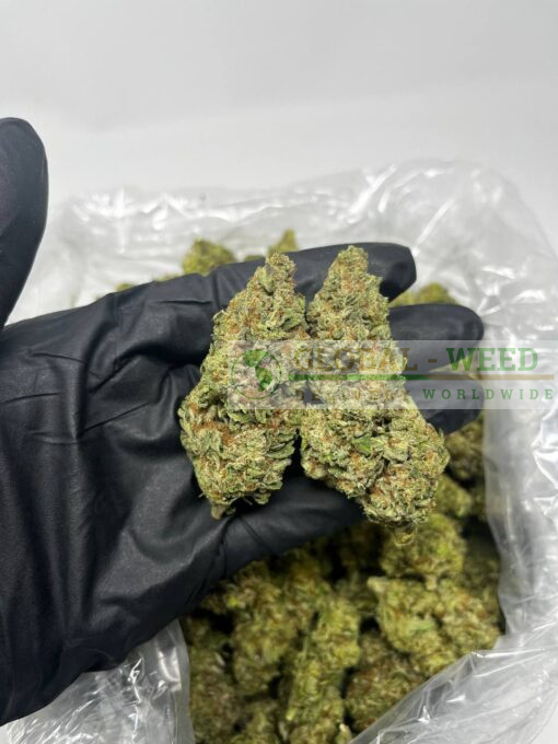 BUY BLUE DREAM WEED ONLINE