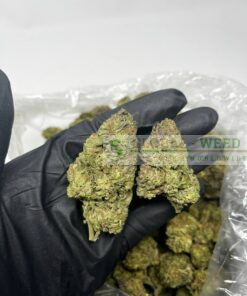 BUY BRAIN FREEZE WEED ONLINE