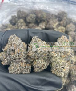 BUY LUCID DREAM WEED ONLINE