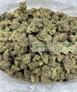 buy alaskan thunder  online