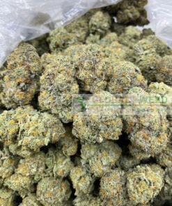 Durban poison weed for sale