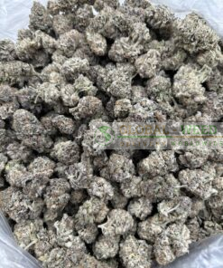 buy black widow weed online