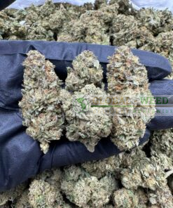 buy atomick jack weed online