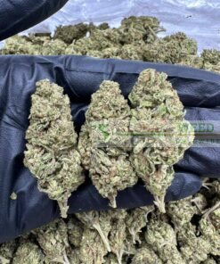 buy banana kush weed online