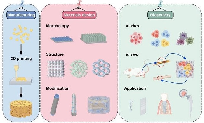 Image: By optimizing the material design during 3D printing, the enhancement of the bioactivity of porous tantalum (pTa) bone implants can be better achieved (Photo courtesy of Manyuan Wu, Mingchun Zhao, Ying Cai)