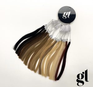 GL HUMAN REMY BASIC COLOUR WHEEL