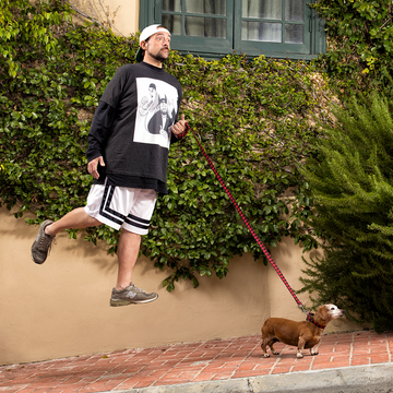 Tree, Wall, Leash, Dog walking, Dog, Canidae, Plant, Woody plant, Shrub, Neighbourhood, 