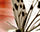 #u3de4f73c5as#