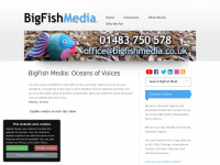 bigfishmedia.co.uk