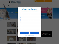 chats-de-france.com