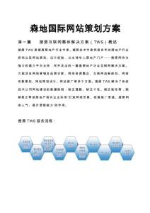 森地国际网站项目策划实施方案