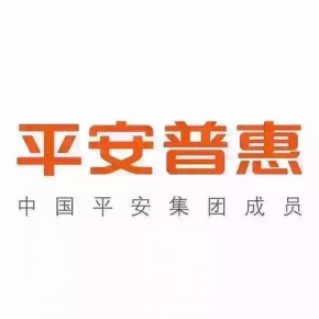 平安普惠投资咨询有限公司上海肇嘉浜路分公司