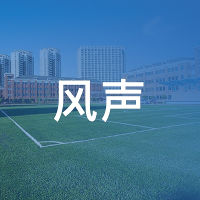 南京市风声职业培训学校logo