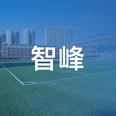 嵊州市智峰职业技能培训logo