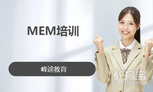 MEM培训