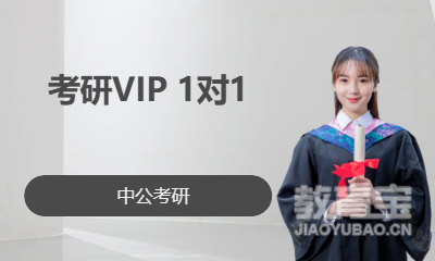 考研VIP 1对1