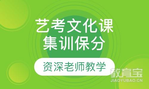 社会艺术生文化课集训