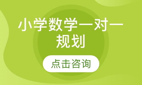 小学数学一对一规划