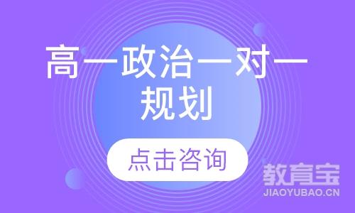 高一政治一对一规划