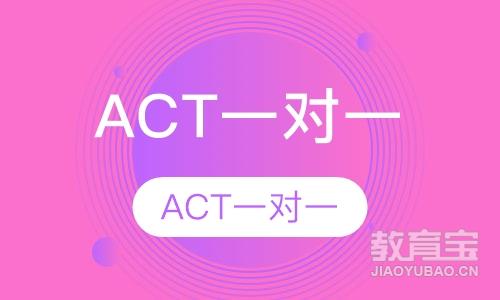 ACT一对一