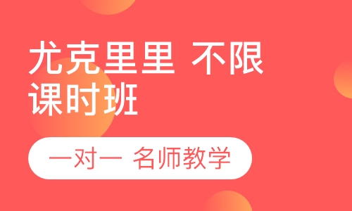 尤克里里 一对一 不限课时包会班