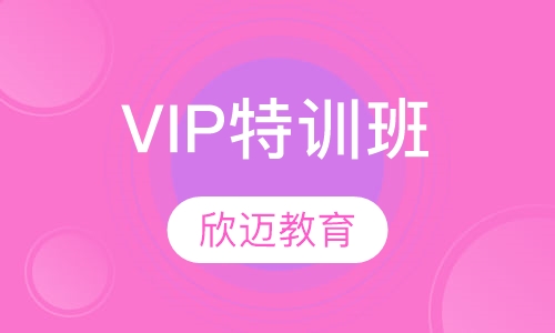 VIP特训班