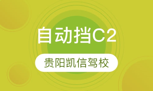 自动挡 C2驾照培训课程