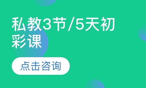 私教3节/5天初彩课