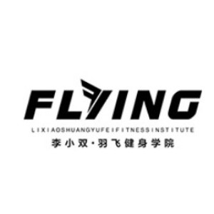 武汉名人羽飞健身logo