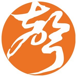 深圳华之声艺考培训logo