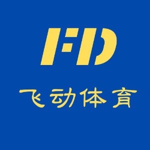 安徽飞动体育logo