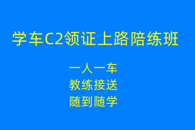 C2领证上路陪练班