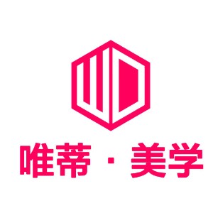 长春唯蒂美学logo