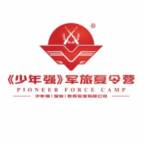 深圳少年强冬令营logo