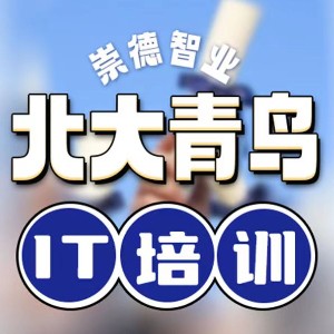 大连北大青鸟UI设计*软件培训logo