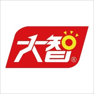 大智复读学校logo