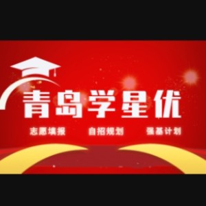 青岛学星优logo