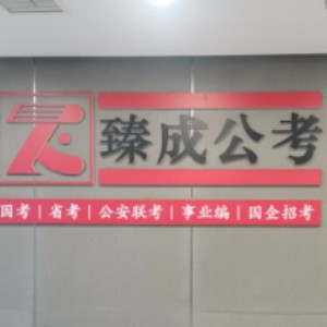 南京臻成教育logo