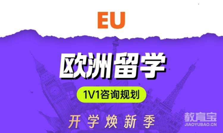 欧洲留学1v1咨询规划