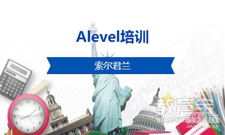 Alevel培训