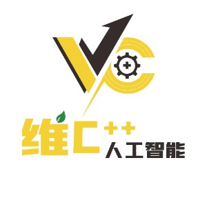 大连维c++logo