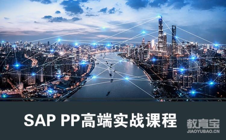 SAP PP高端实战课程