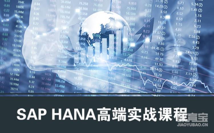 SAP HANA高端实战课程