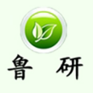 鲁研管理咨询公司logo