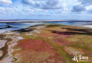 条子泥湿地，风光如画！