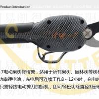 ����ĺ�ѡ���׿��������ĵ綯������֦��ec7û�д�